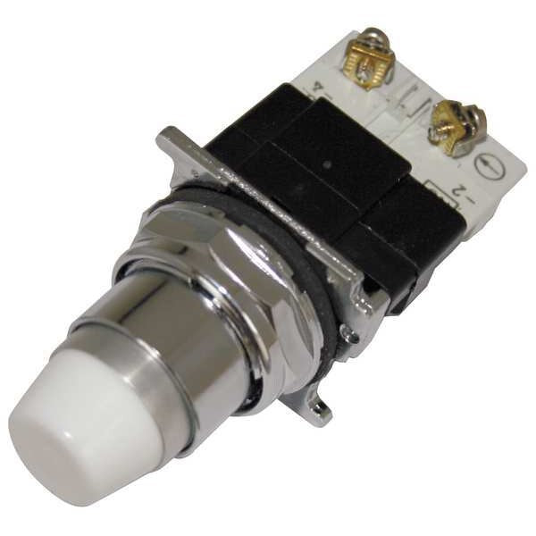 Illuminated Push Button, 30mm, 1NC, 120VAC
