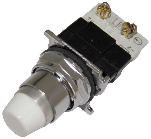 Illuminated Push Button, 30mm, 1NO, 120VAC