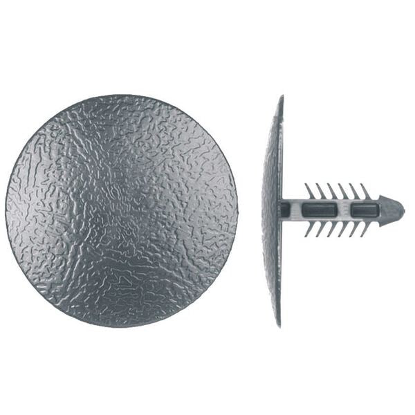 Push-In Rivet, Dome Head, 6.3 mm Dia., 18 mm L, Nylon Body, 50 PK