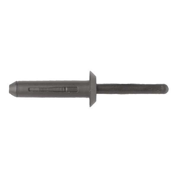 Blind Rivet, Dome Head, 1/4 in Dia., 1-1/8 in L, Nylon Body, 25 PK