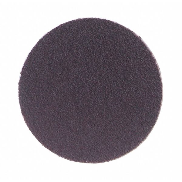 PSA Sanding Disc, Coatd, 12