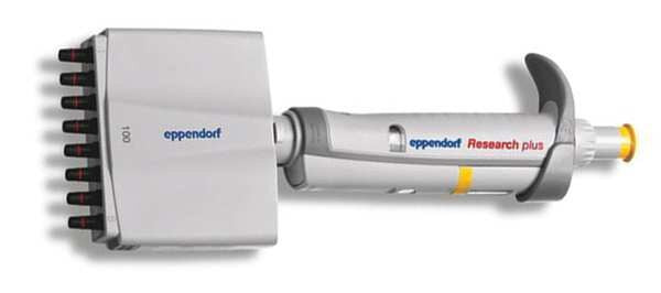 Pipette, 12 Channel 0.5 to 10micron L