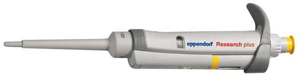 Pipette, 10 to 100micron L