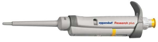 Pipette, 20 to 200micron L