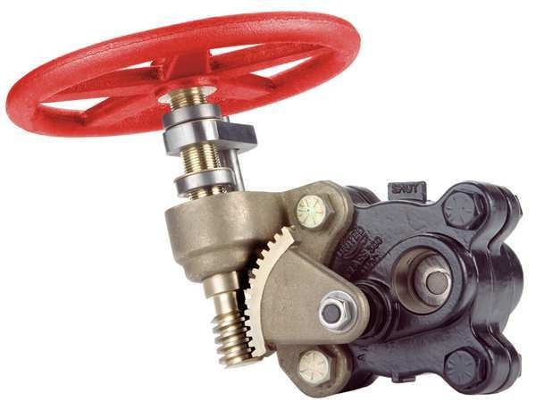 Gate Valve, 1-1/4 In., FNPT