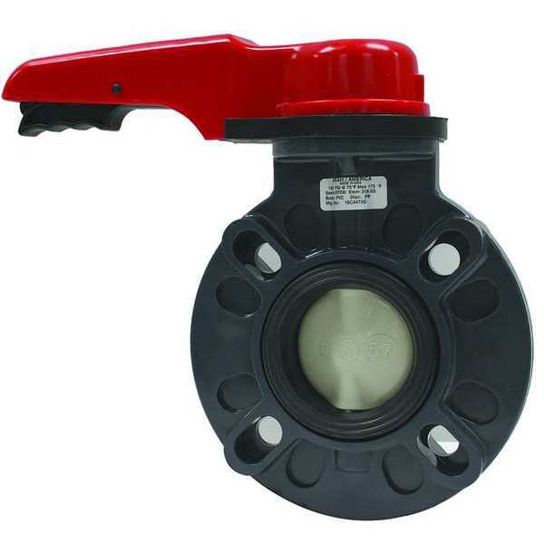 Butterfly Valve, 2-1/2