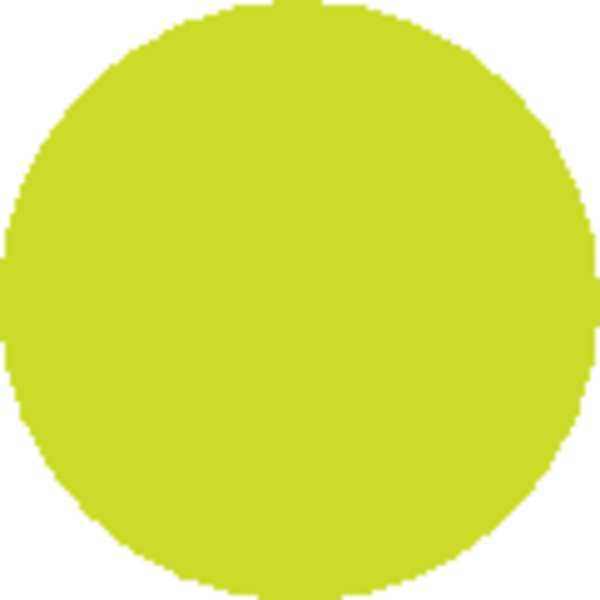 Circle Blank Labels 3