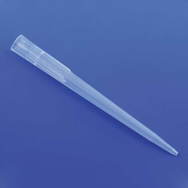 Pipette Tip, 0.1 to 1000uL, Bulk, PK1000