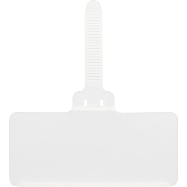 Clear Plastic Label Holder, 3 in L, 1 13/32 in W