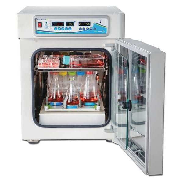 Incubator, 120V, Metal/Stainless Steel, 2A