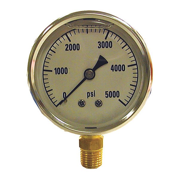 Gauge, 0-1000 psi