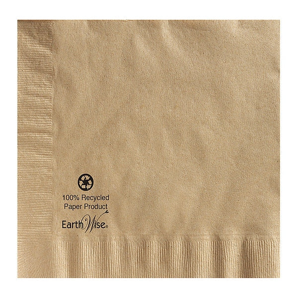 Dinner Napkin, 2 Ply, 1/4 Fold, PK150