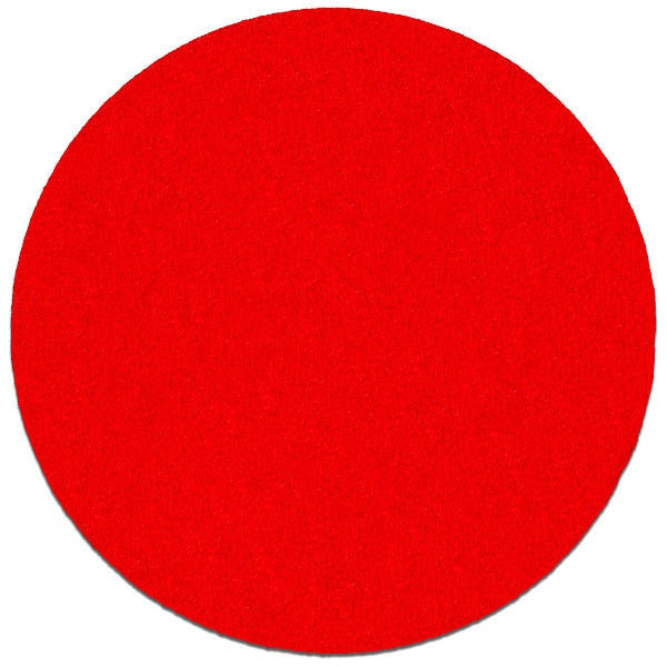 PSA Sanding Disc, 5