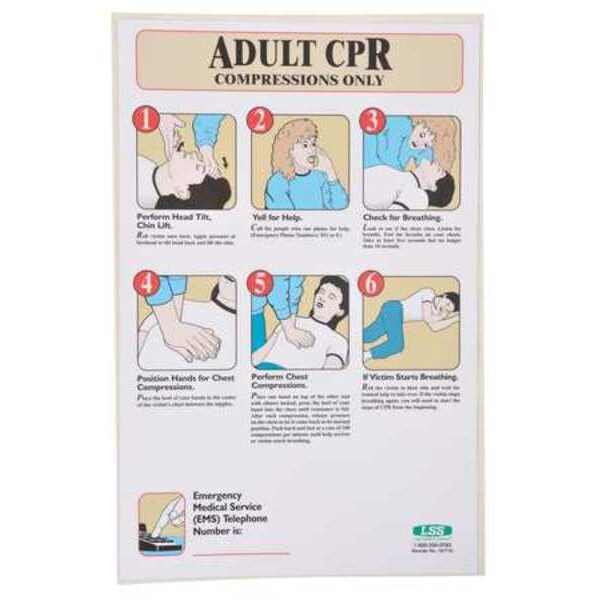 First Aid Poster, 17 x 11 in, English