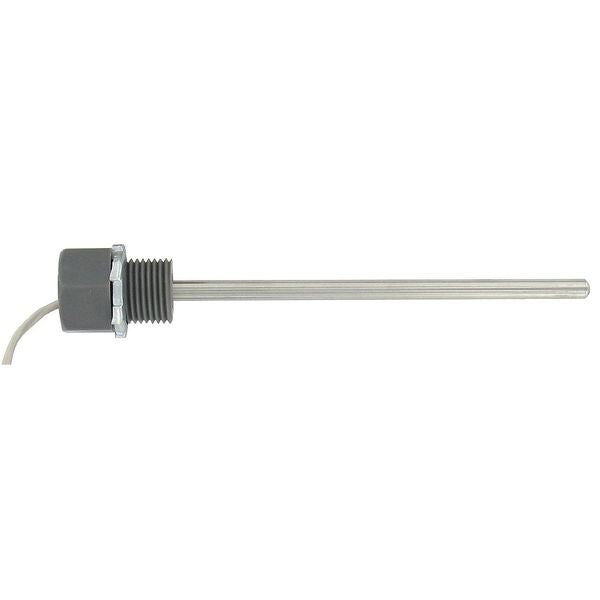 Immersion Probe, RTD, Ni 1000 Ohm, 6 In L