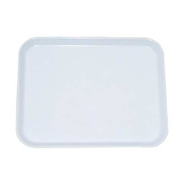 Lab Tray, Chem Res, 3/4X10X14