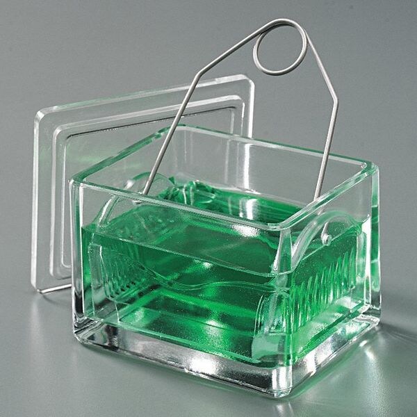Slide Staining Dish, Glass, 95x76x64mm, Pk6