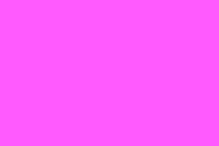 Blank Inventory Control Label Pink 2