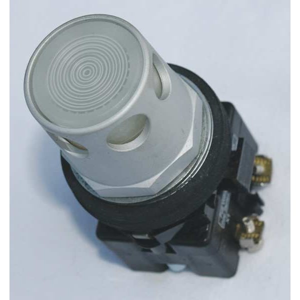 Illuminated Push Button, 30 mm, 2NO/2NC, White