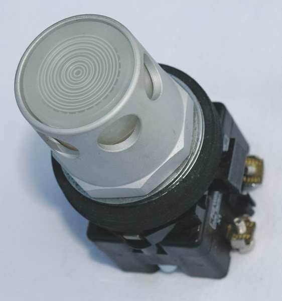 Illuminated Push Button, 30 mm, 2NO/2NC, White