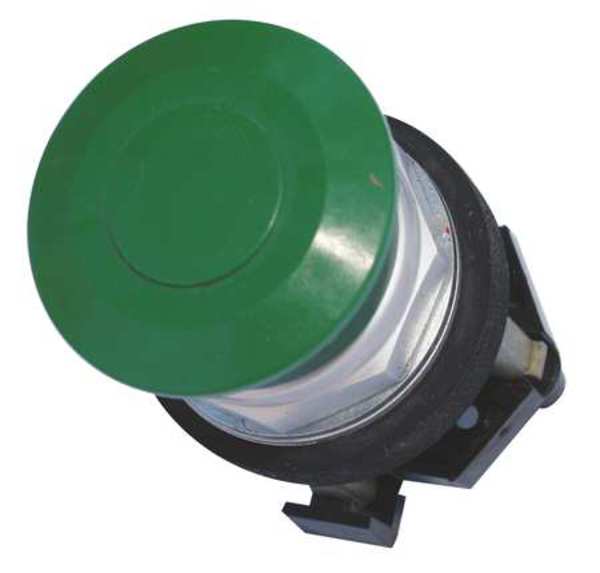 Non-Illuminated Push Button, 30 mm, 1NO, Green