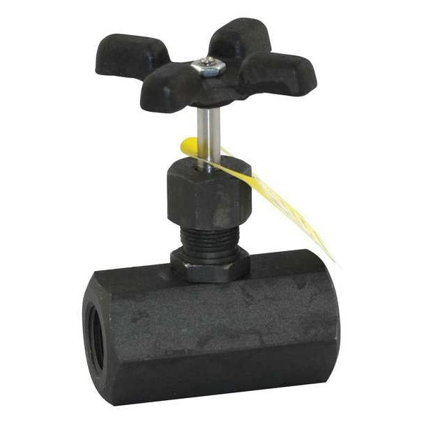 Globe Valve, 1/4 In., FNPT, 100 Deg F