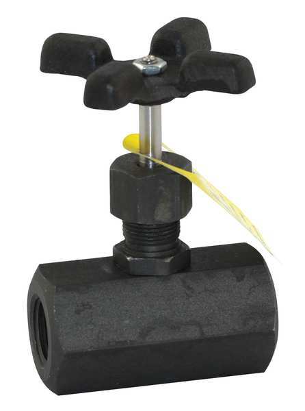 Globe Valve, 1/2 In., FNPT, 100 Deg F
