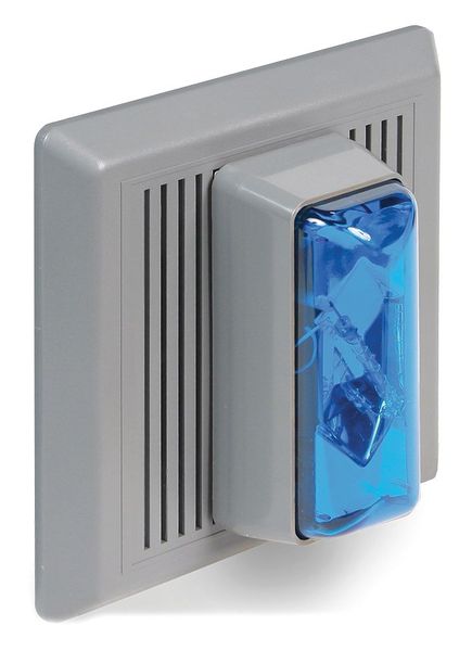 Horn Strobe, Blue, 5-1/2 In. H, 120VAC